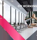 How Coworking Spaces Are Changing the Future of Work?