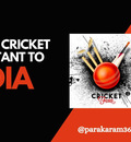 https://parakaram360.com/why-cricket-is-so-popular/