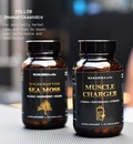Contact Us for Holistic Health Longevity Herbal Supplements